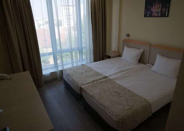 Puldin Coop 普罗夫迪夫